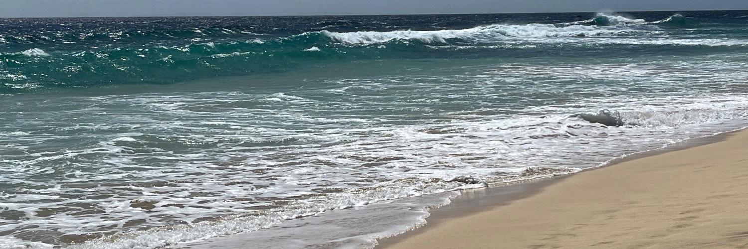 Alex Steiner - Cover