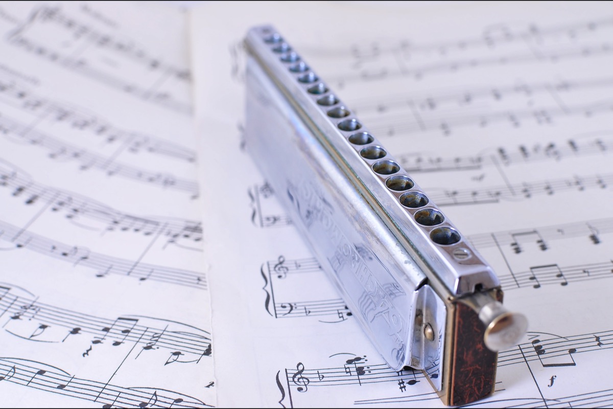 Flexible Chromatic Harmonica lessons in Switzerland. Learn Chromatic Harmonica with top private