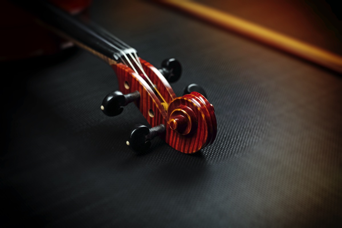 Flexible Viola lessons in Basel. Learn Viola with private classes