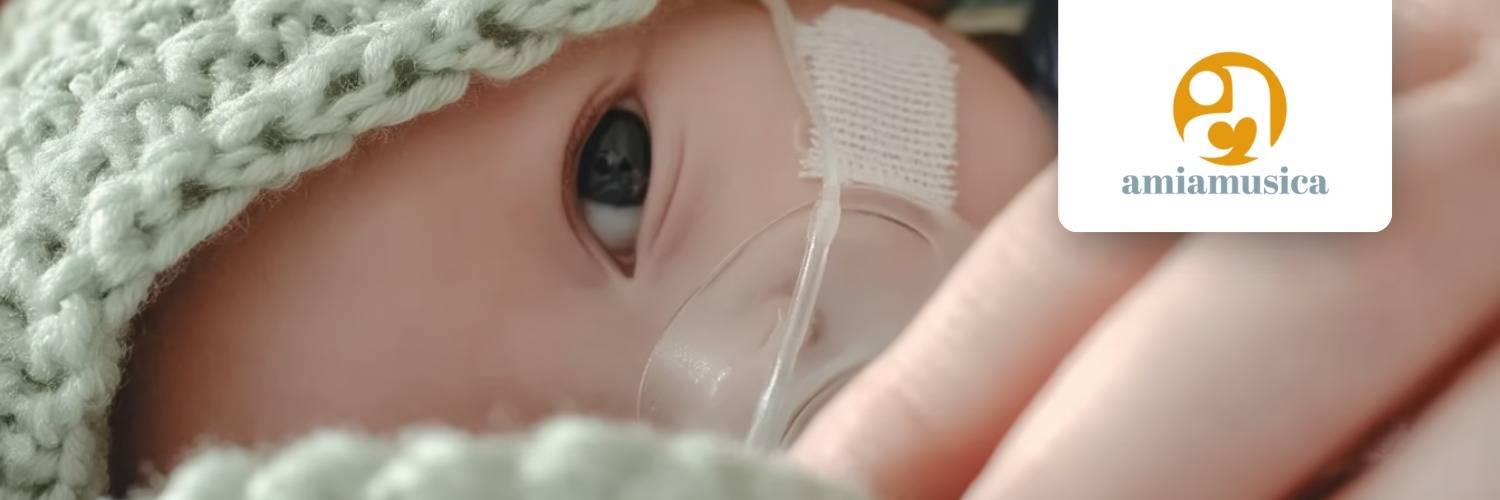 Friederike Haslbeck - Cover